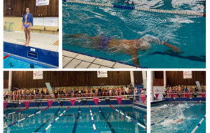 Record de l’heure en natation : la force de la cohésion 
