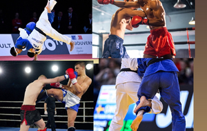 Judo and Kickboxing : Represent SKEMA at the University Championships! || Représentez SKEMA lors des championnats universitaires !