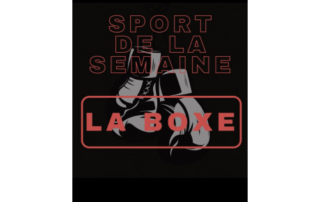 LE FOCUS : LA BOXE 